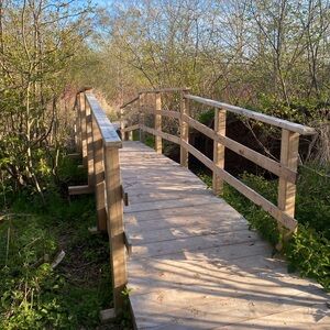 Meet your Posher, Cassie